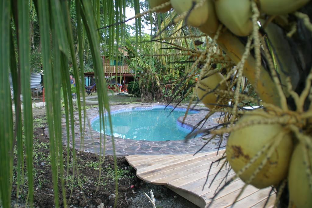 Hakuna Matata Hostel Cahuita Exterior foto