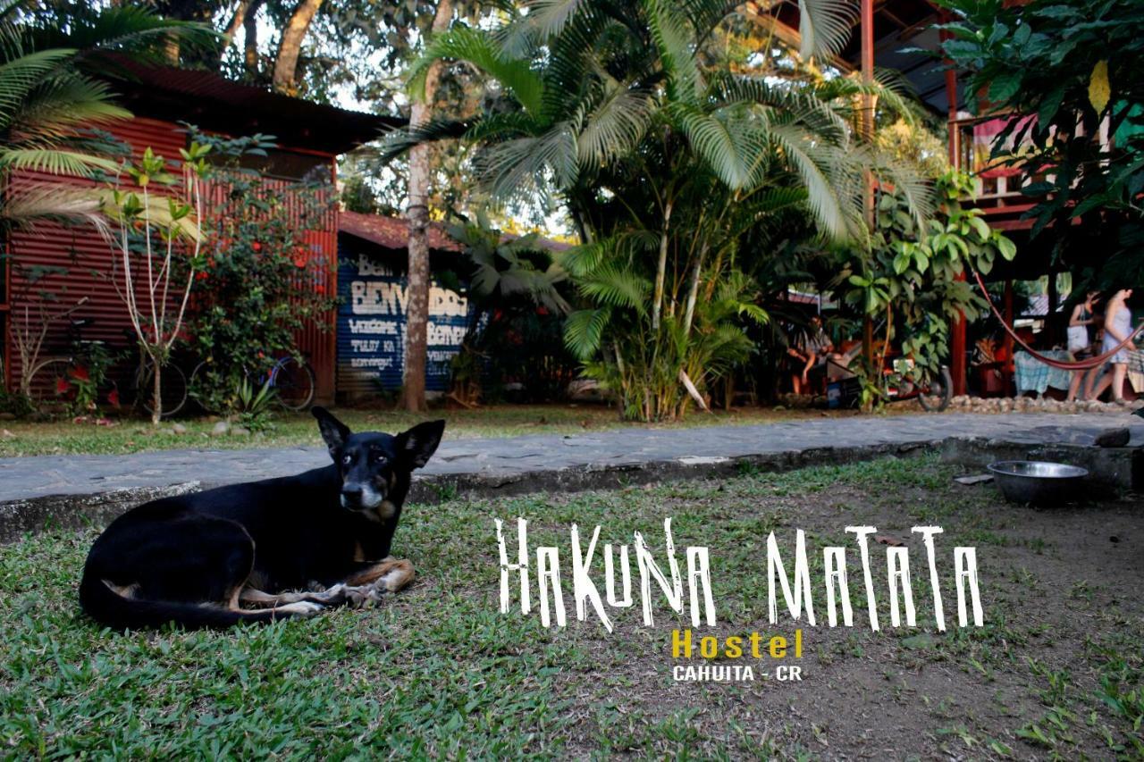 Hakuna Matata Hostel Cahuita Exterior foto